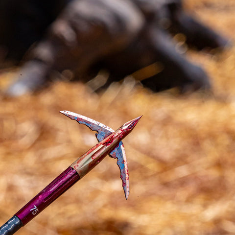 Broadhead Python World's Sharpest Mechanical Broadhead | Beast Broadheads